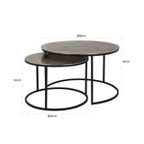 Richmond Interiors Asher Champagne Gold Coffee Table Nest | Set of 2
