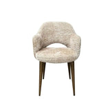 Richmond Interiors Delphina Lovely Nature Dining Chairs