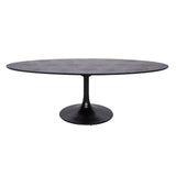 Richmond Interiors Blax Oval 250cm Dining Table