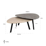Richmond Interiors Spencer Set of 2 Coffee Tables in Beige