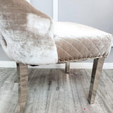 Valente Champagne Mink Velvet Fabric Button Back Lion Knocker Quilted Dining Chair-Esme Furnishings